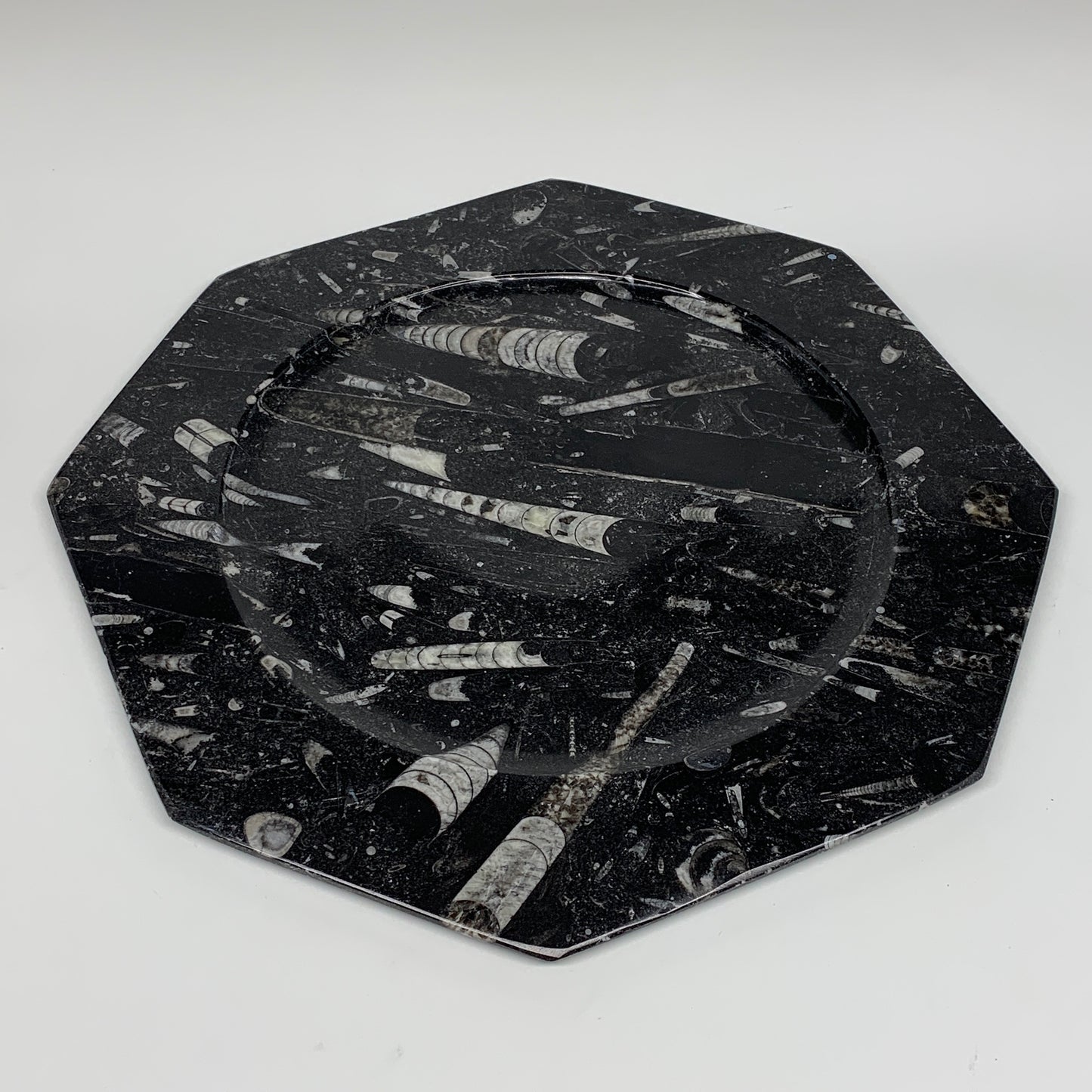 2pcs, 12" Large Octagon Shape Black Fossils Orthoceras Plates @Morocco, B8287