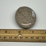 65.8g,2.1"x1.7"x0.9", Small Dinosaur Bones Palm-Stone from Morocco, B20453