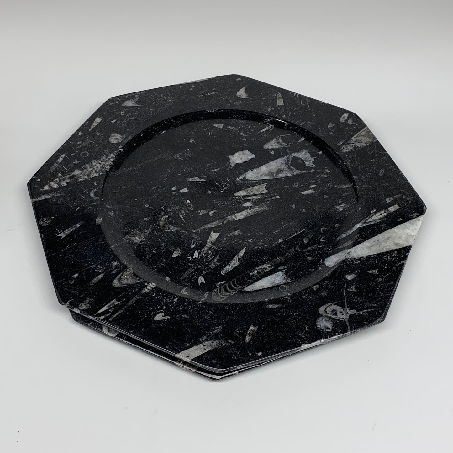 2pcs, 12" Large Octagon Shape Black Fossils Orthoceras Plates @Morocco, B8287