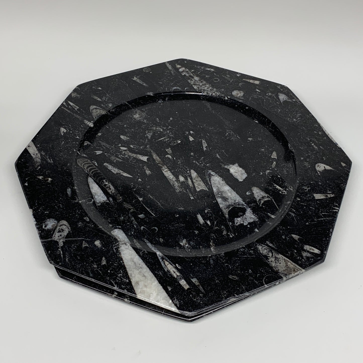 2pcs, 12" Large Octagon Shape Black Fossils Orthoceras Plates @Morocco, B8287