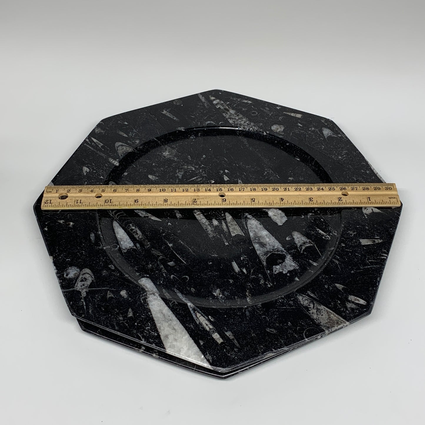 2pcs, 12" Large Octagon Shape Black Fossils Orthoceras Plates @Morocco, B8287