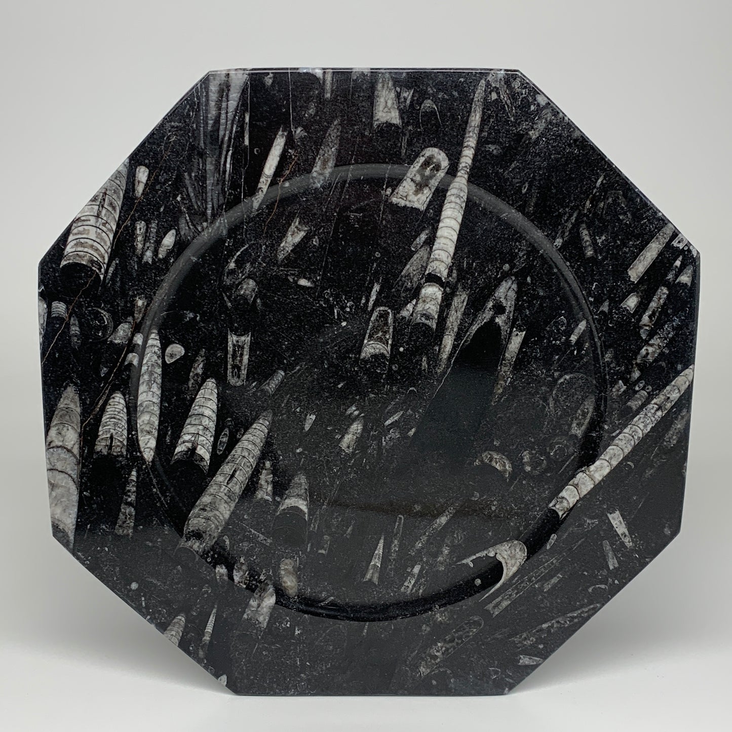 2pcs, 12" Large Octagon Shape Black Fossils Orthoceras Plates @Morocco, B8288