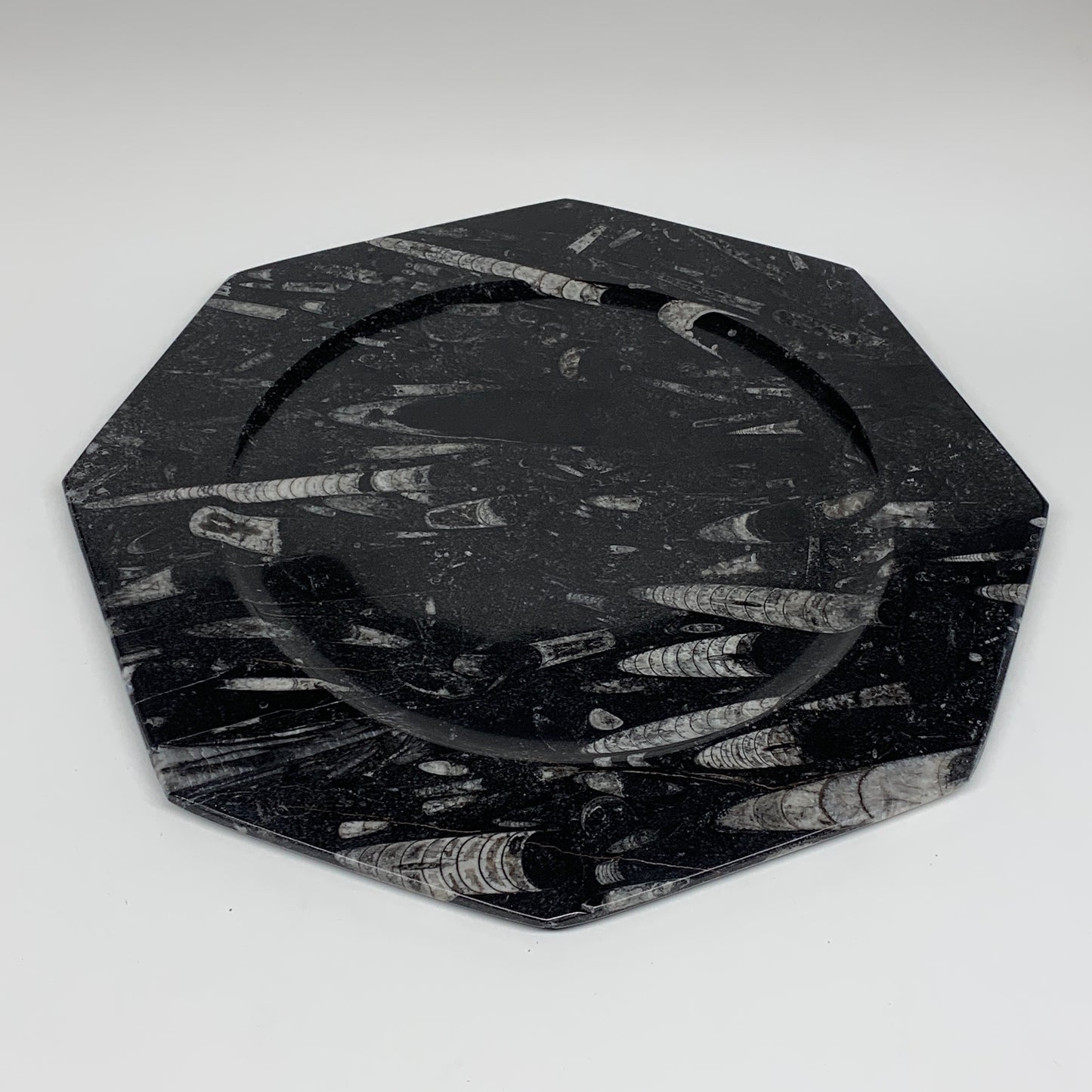 2pcs, 12" Large Octagon Shape Black Fossils Orthoceras Plates @Morocco, B8288
