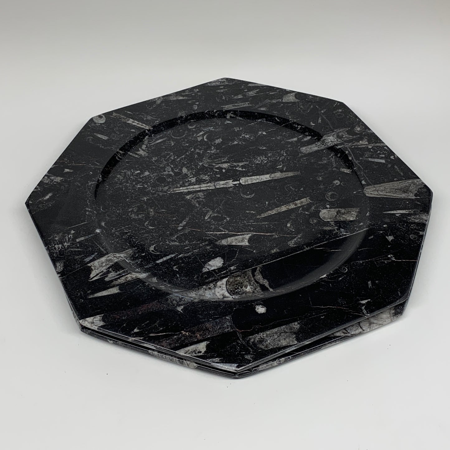 2pcs, 12" Large Octagon Shape Black Fossils Orthoceras Plates @Morocco, B8288