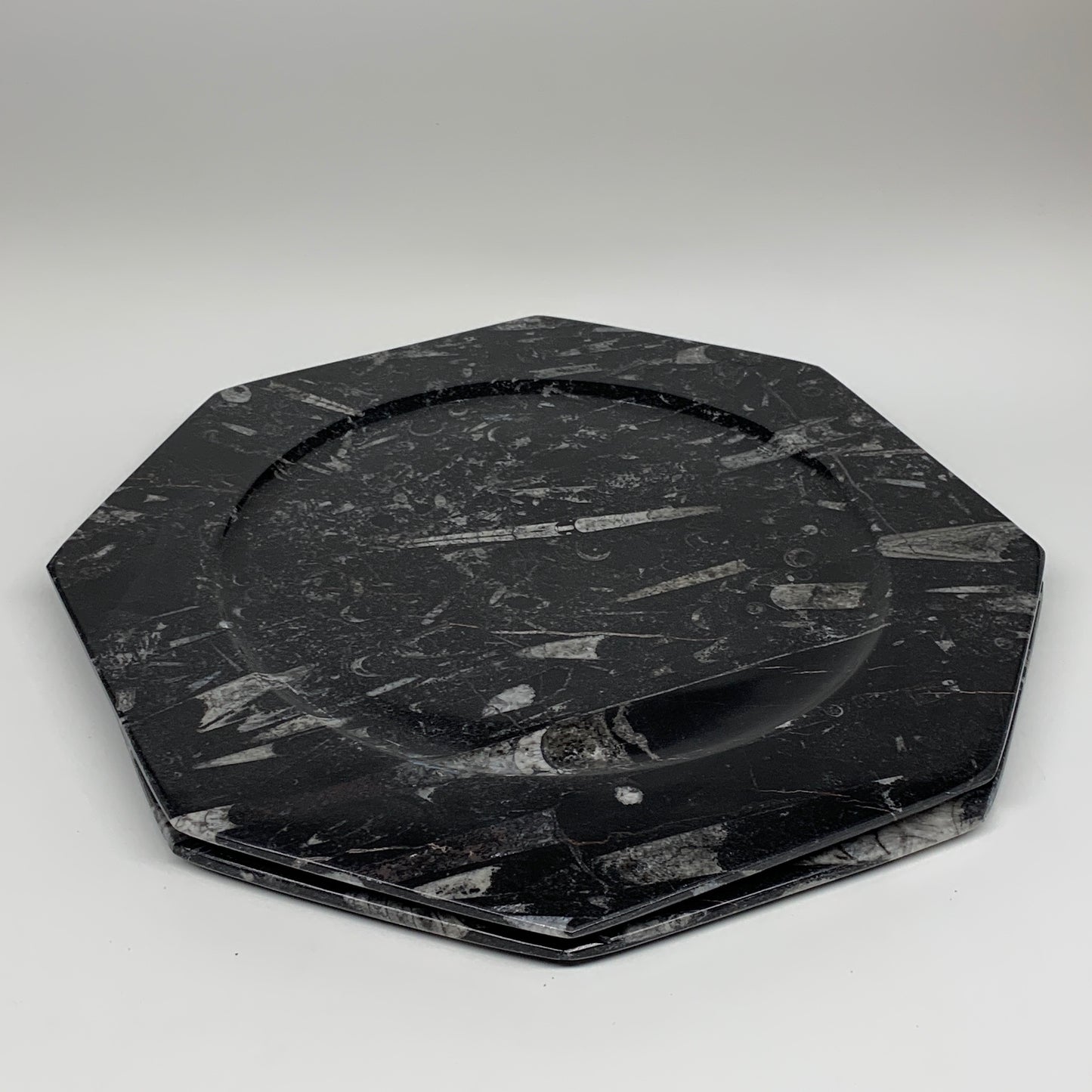 2pcs, 12" Large Octagon Shape Black Fossils Orthoceras Plates @Morocco, B8288