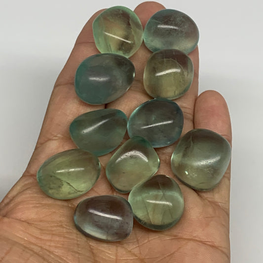 116.8g, 0.8"-1", 9pcs, Green Fluorite Crystal Tumbled Stones, B26931