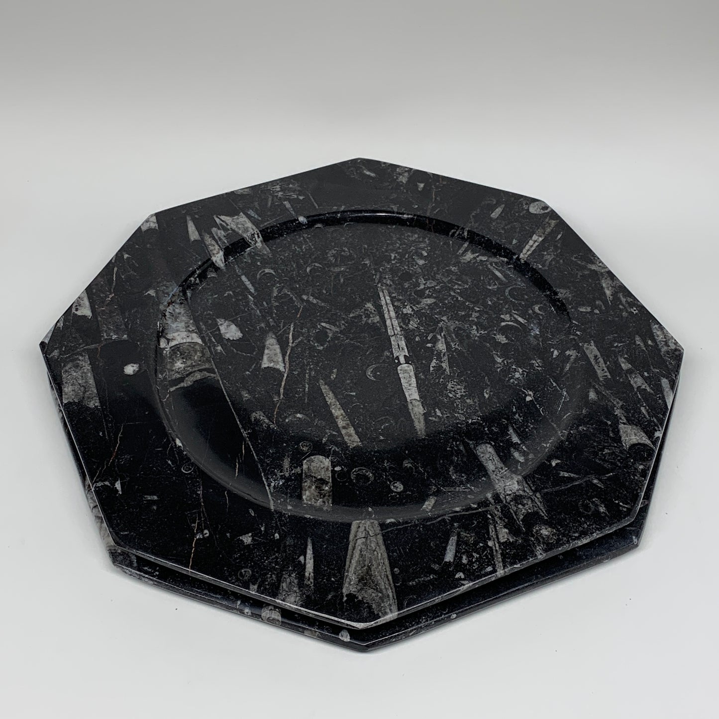 2pcs, 12" Large Octagon Shape Black Fossils Orthoceras Plates @Morocco, B8288