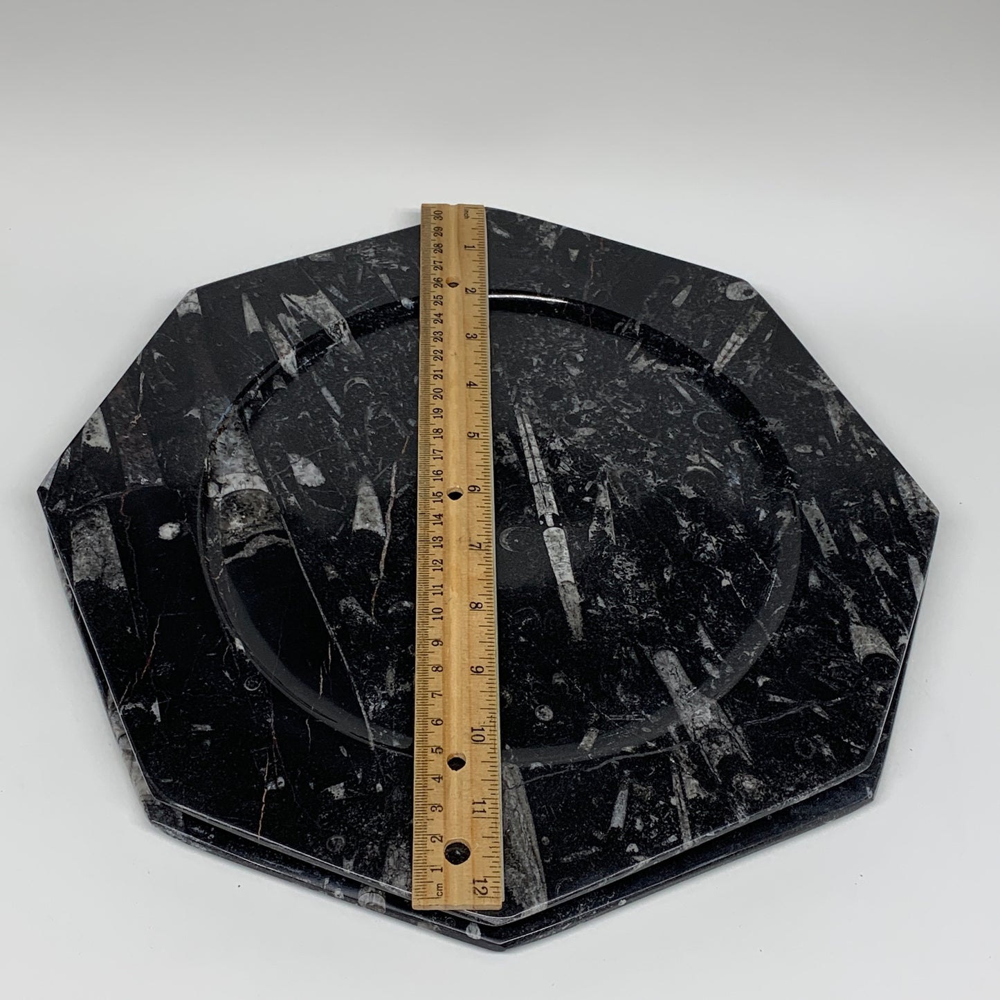 2pcs, 12" Large Octagon Shape Black Fossils Orthoceras Plates @Morocco, B8288