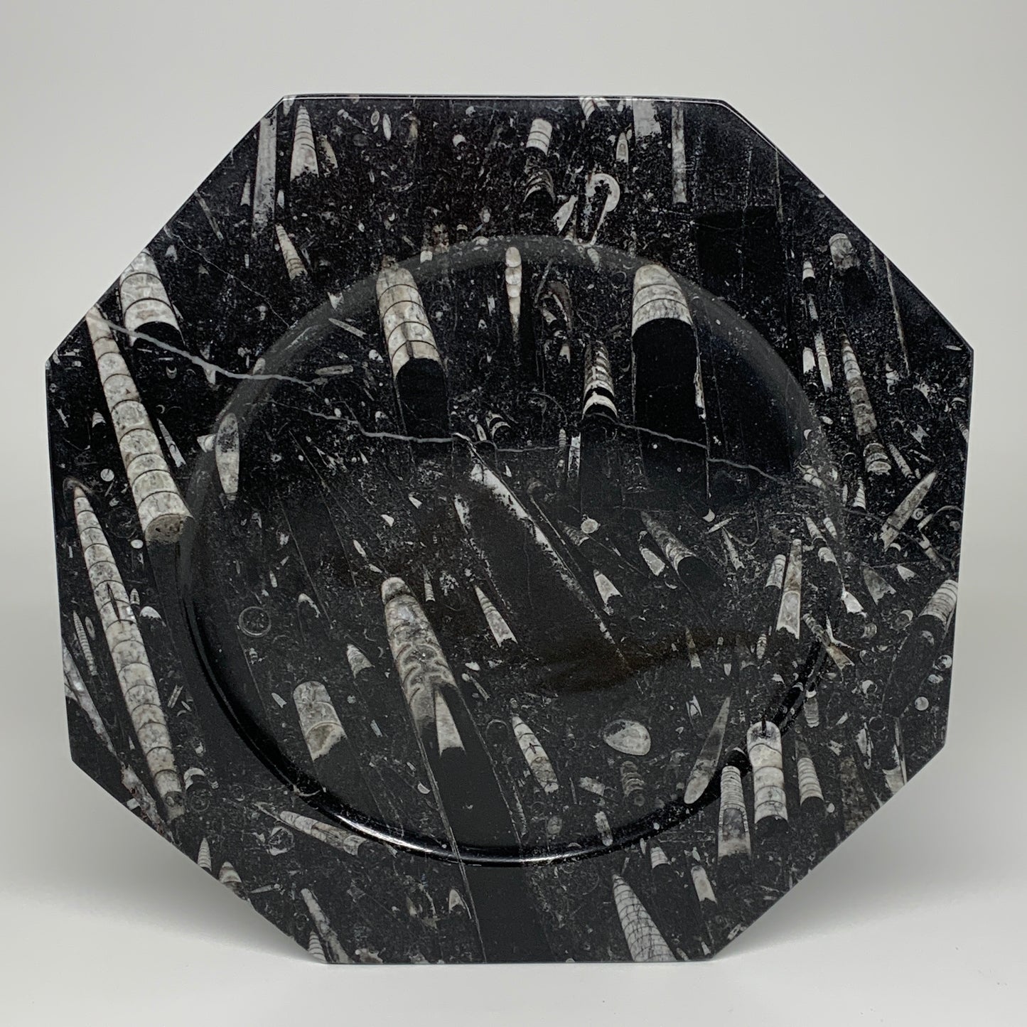 2pcs, 12" Large Octagon Shape Black Fossils Orthoceras Plates @Morocco, B8289