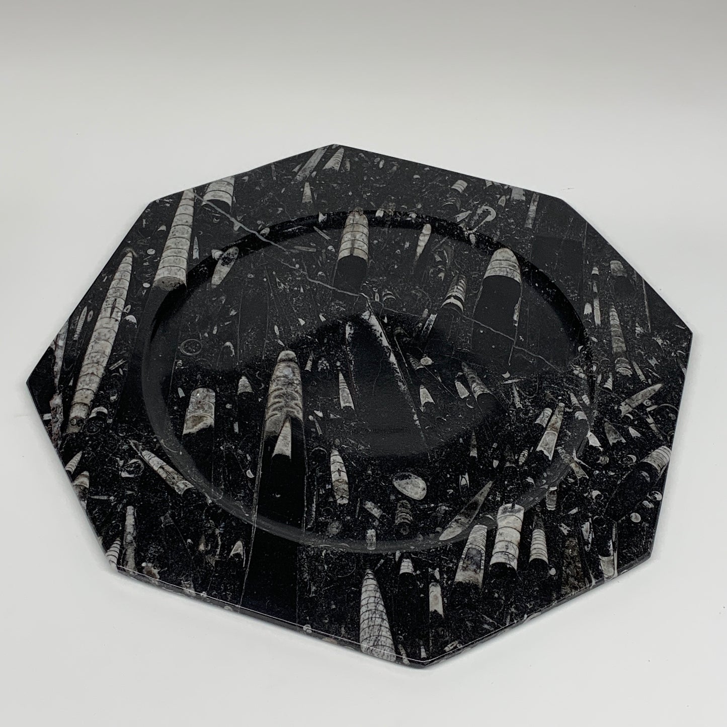 2pcs, 12" Large Octagon Shape Black Fossils Orthoceras Plates @Morocco, B8289