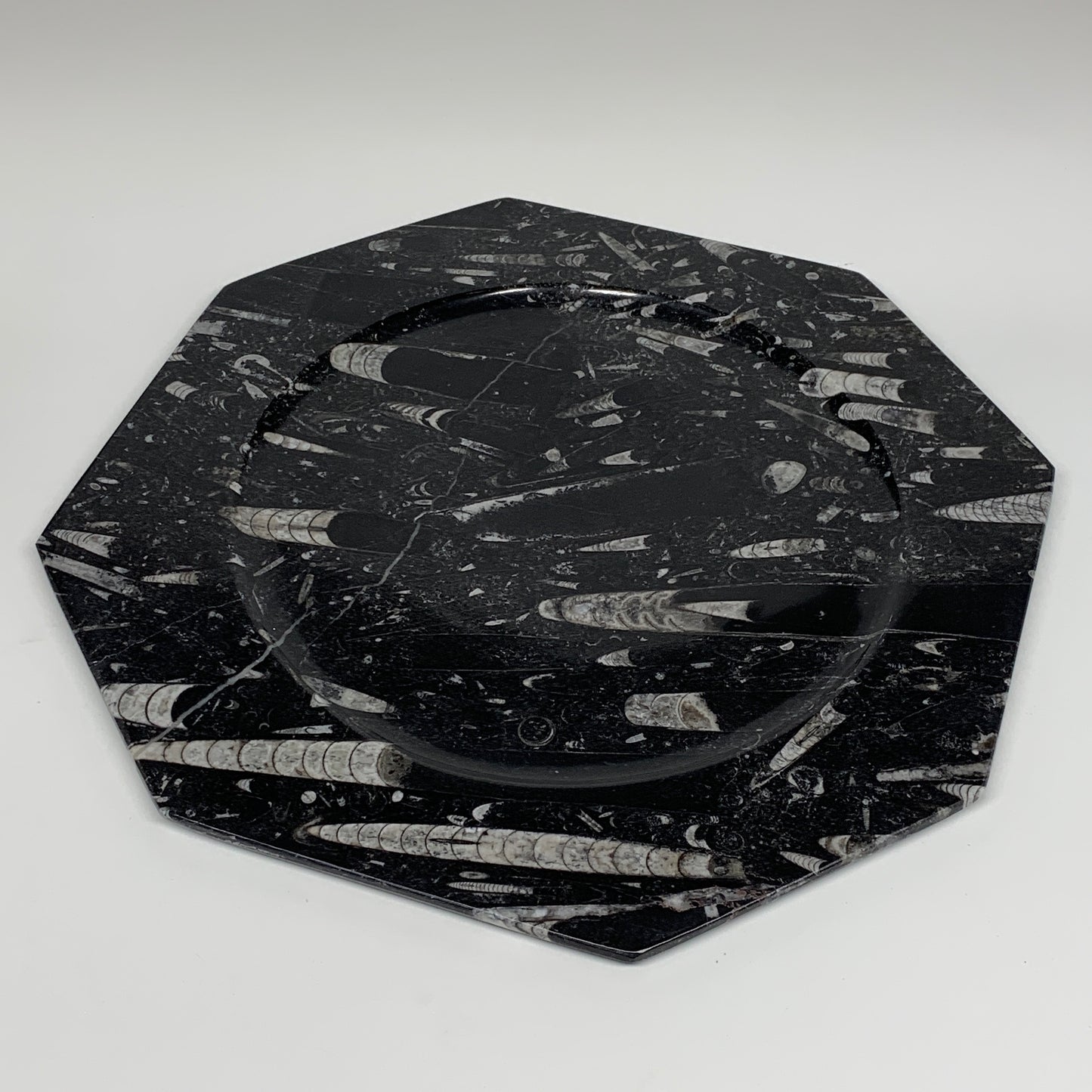 2pcs, 12" Large Octagon Shape Black Fossils Orthoceras Plates @Morocco, B8289