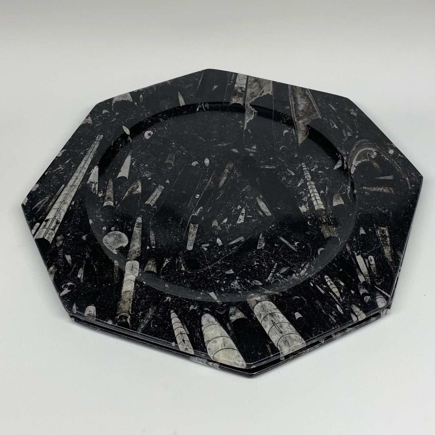 2pcs, 12" Large Octagon Shape Black Fossils Orthoceras Plates @Morocco, B8289