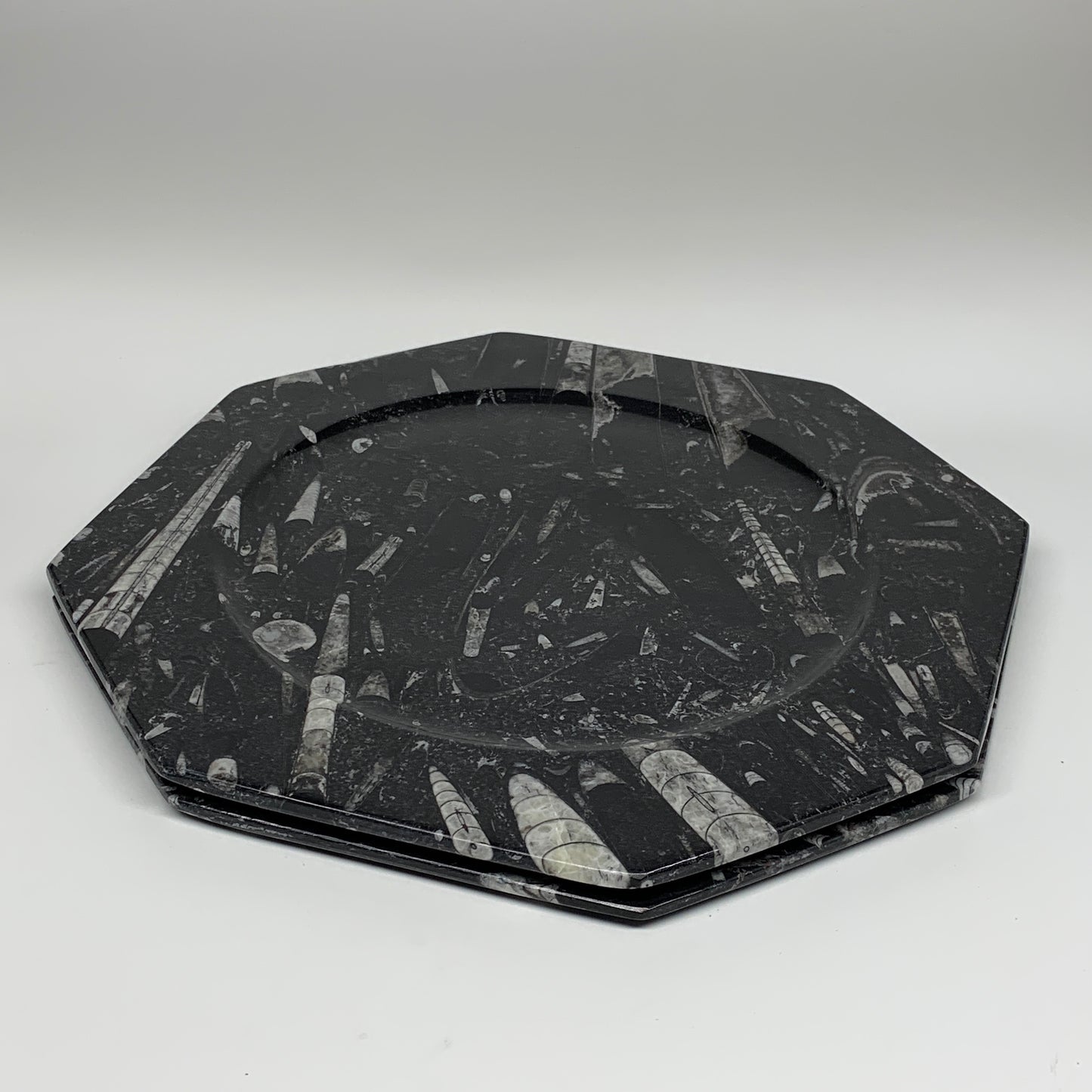 2pcs, 12" Large Octagon Shape Black Fossils Orthoceras Plates @Morocco, B8289
