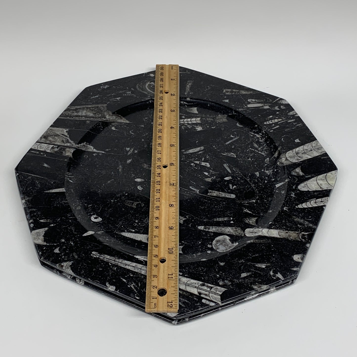 2pcs, 12" Large Octagon Shape Black Fossils Orthoceras Plates @Morocco, B8289