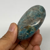 135g, 2.4"x1.9"x1" Blue Apatite Palm-Stone Polished from Madagascar, B16574