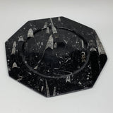2pcs, 12" Large Octagon Shape Black Fossils Orthoceras Plates @Morocco, B8291