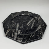 2pcs, 12" Large Octagon Shape Black Fossils Orthoceras Plates @Morocco, B8291