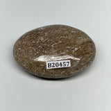 61.8g,2.2"x1.6"x0.8", Small Dinosaur Bones Palm-Stone from Morocco, B20457