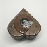414 Grams Heart Shape Fossil Ammonite Brown Jewelry Box from Morocco,FJ131 - watangem.com