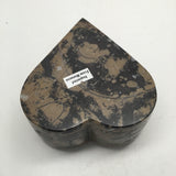 414 Grams Heart Shape Fossil Ammonite Brown Jewelry Box from Morocco,FJ131 - watangem.com