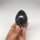 162.3g, 2.3"x1.8" Hand Polished Fossil Orthoceras Stone Egg from Morocco,FE69
