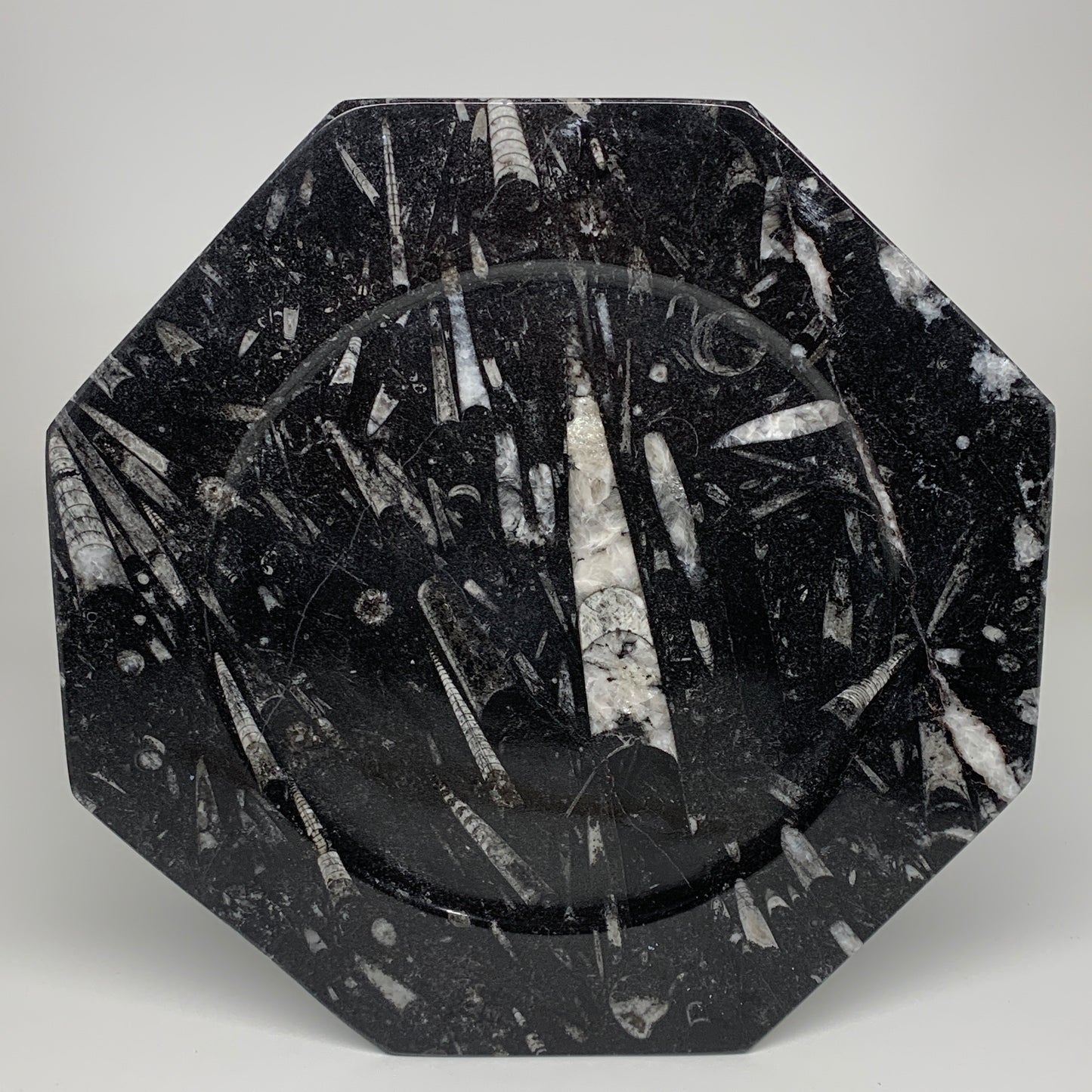 2pcs, 12" Large Octagon Shape Black Fossils Orthoceras Plates @Morocco, B8297