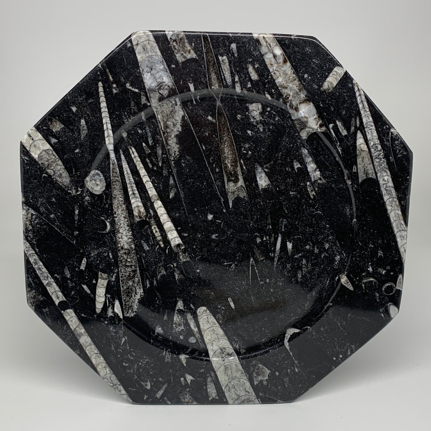 2pcs, 12" Large Octagon Shape Black Fossils Orthoceras Plates @Morocco, B8297