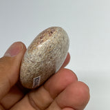 48.7g,2"x1.5"x0.8", Small Dinosaur Bones Palm-Stone from Morocco, B20462
