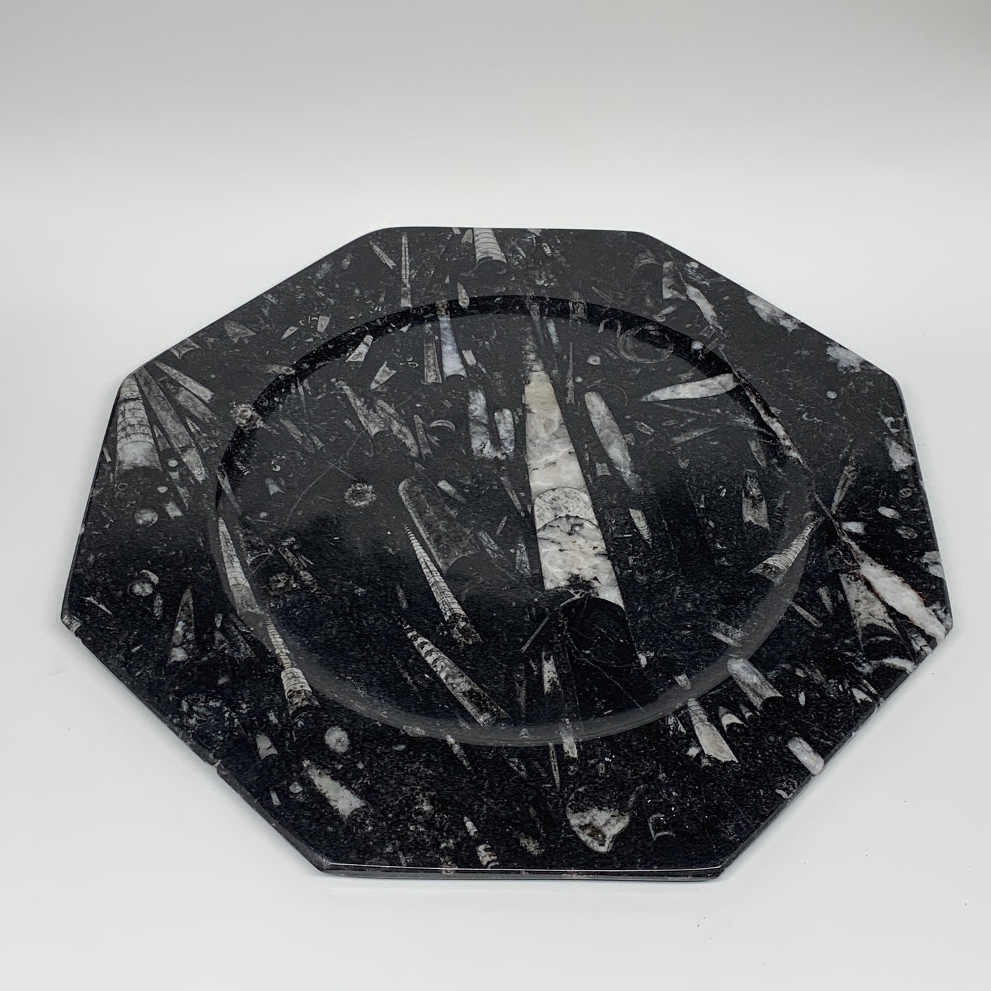 2pcs, 12" Large Octagon Shape Black Fossils Orthoceras Plates @Morocco, B8297