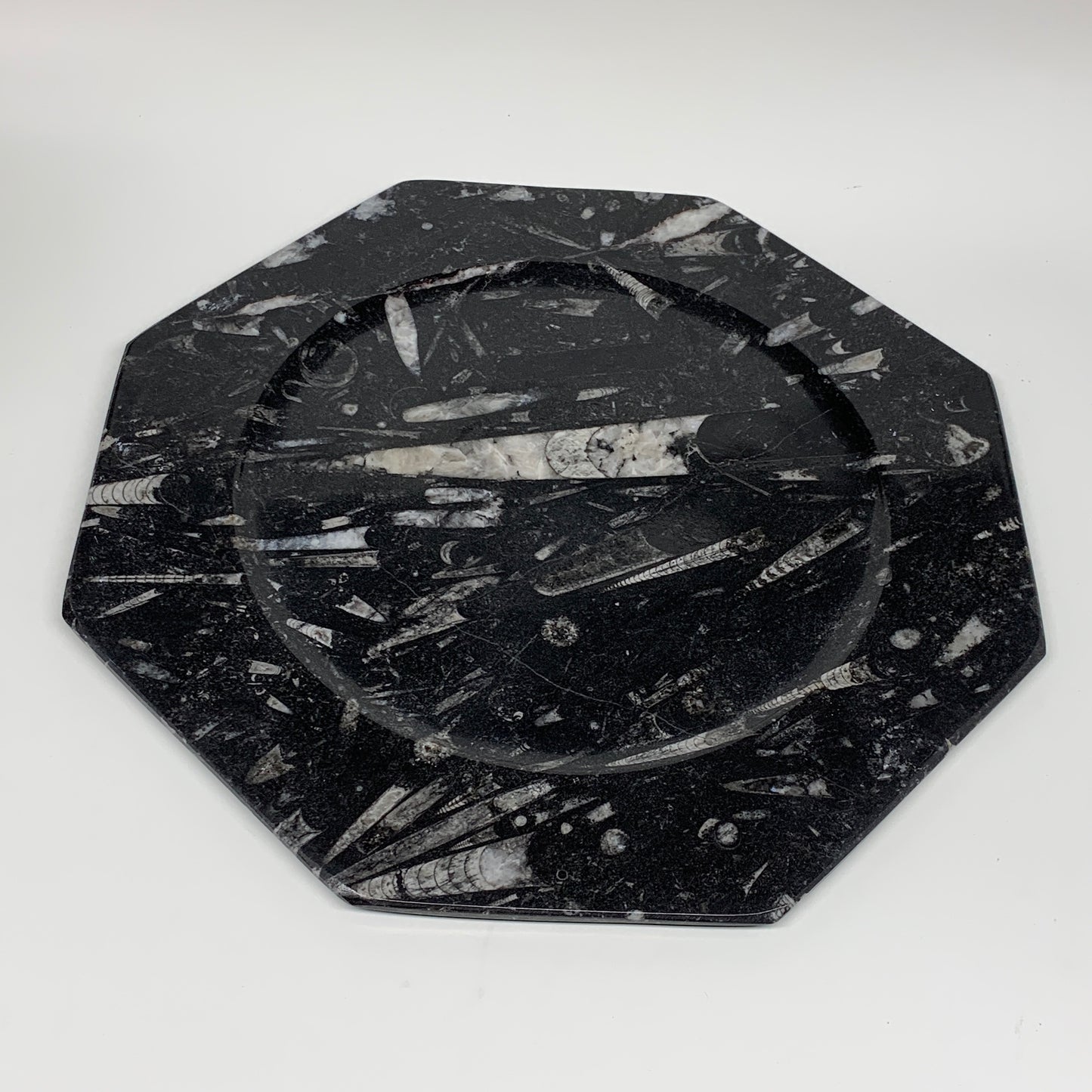 2pcs, 12" Large Octagon Shape Black Fossils Orthoceras Plates @Morocco, B8297