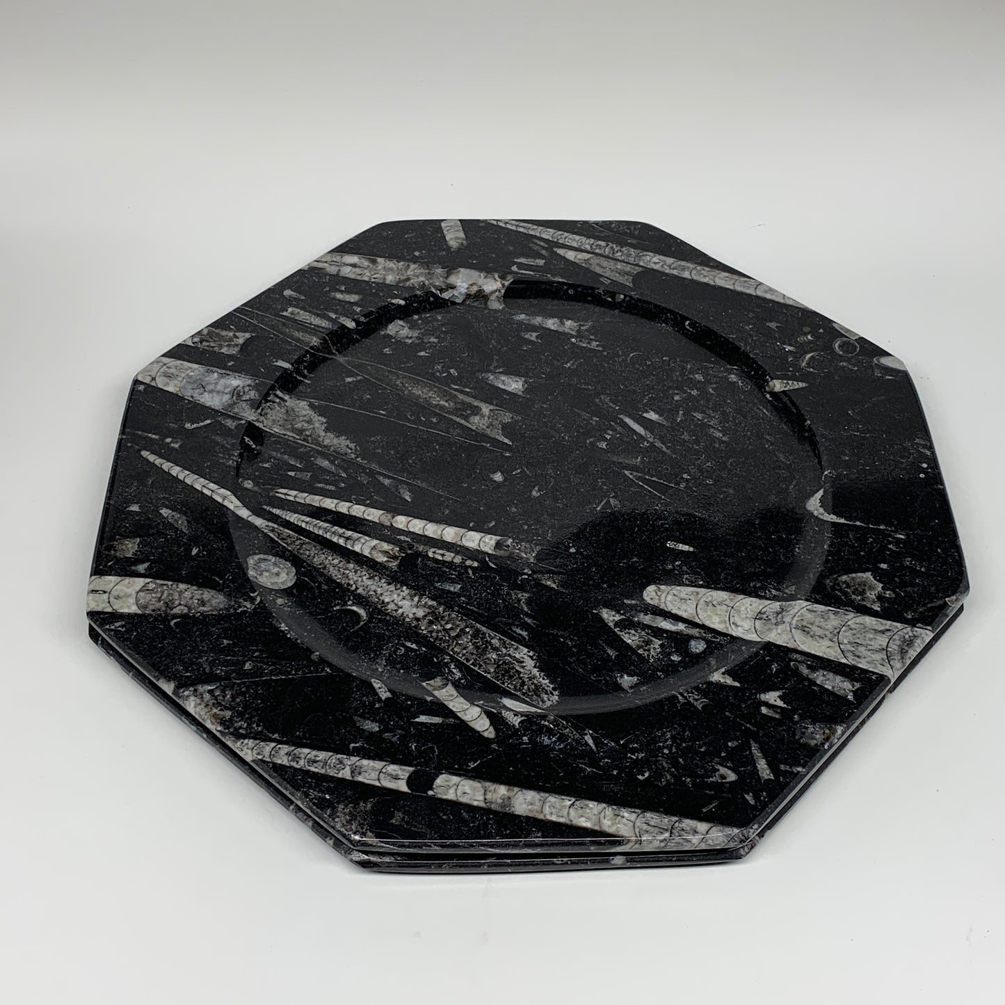 2pcs, 12" Large Octagon Shape Black Fossils Orthoceras Plates @Morocco, B8297