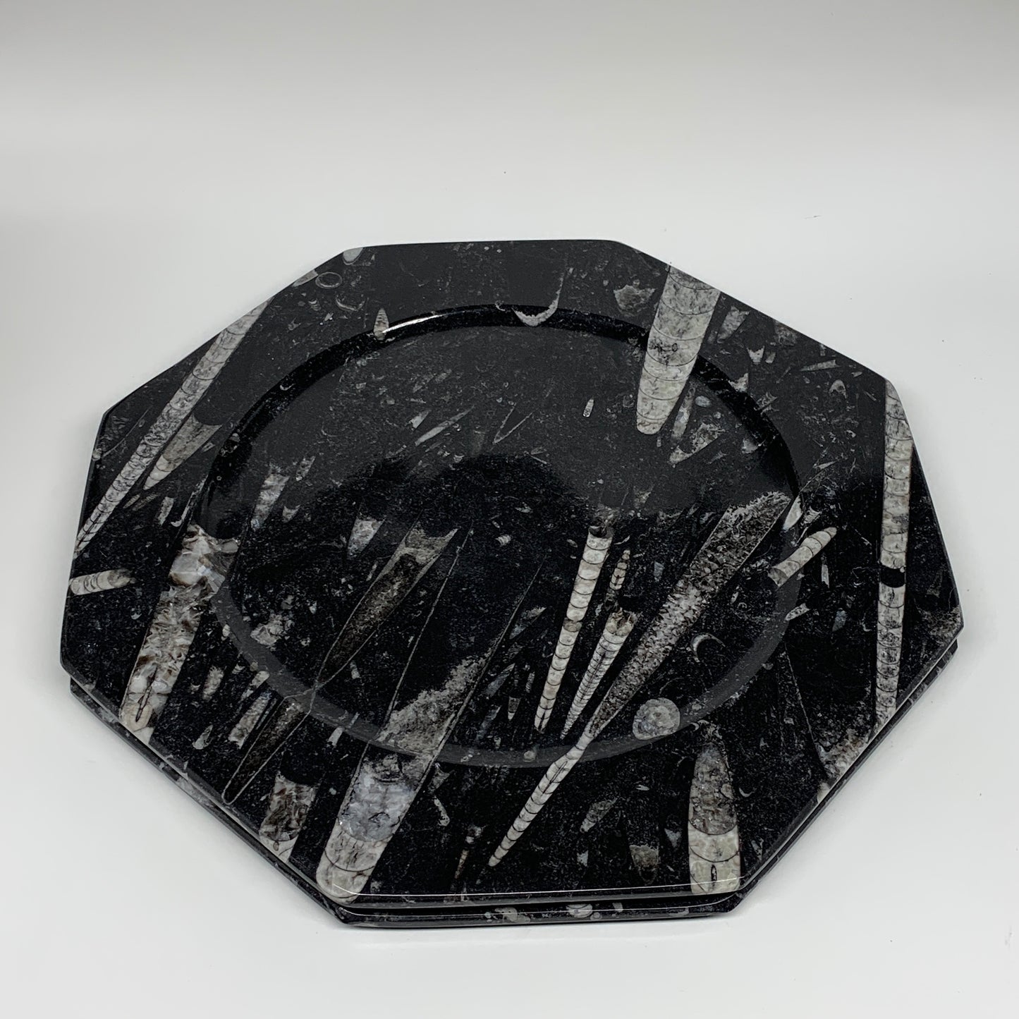 2pcs, 12" Large Octagon Shape Black Fossils Orthoceras Plates @Morocco, B8297