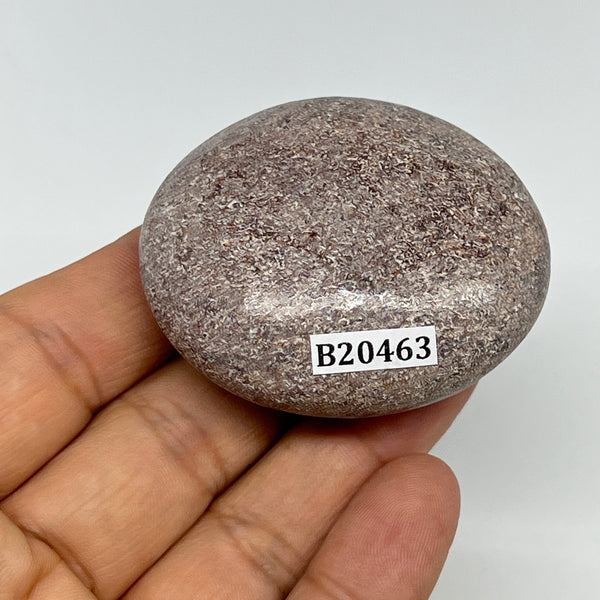 57.2g,2"x1.7"x0.9", Small Dinosaur Bones Palm-Stone from Morocco, B20463