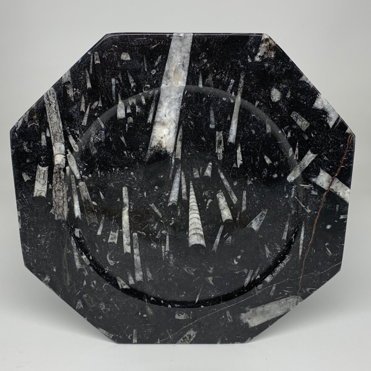 2pcs, 12" Large Octagon Shape Black Fossils Orthoceras Plates @Morocco, B8299