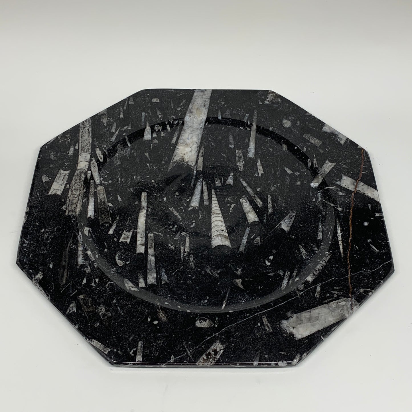 2pcs, 12" Large Octagon Shape Black Fossils Orthoceras Plates @Morocco, B8299