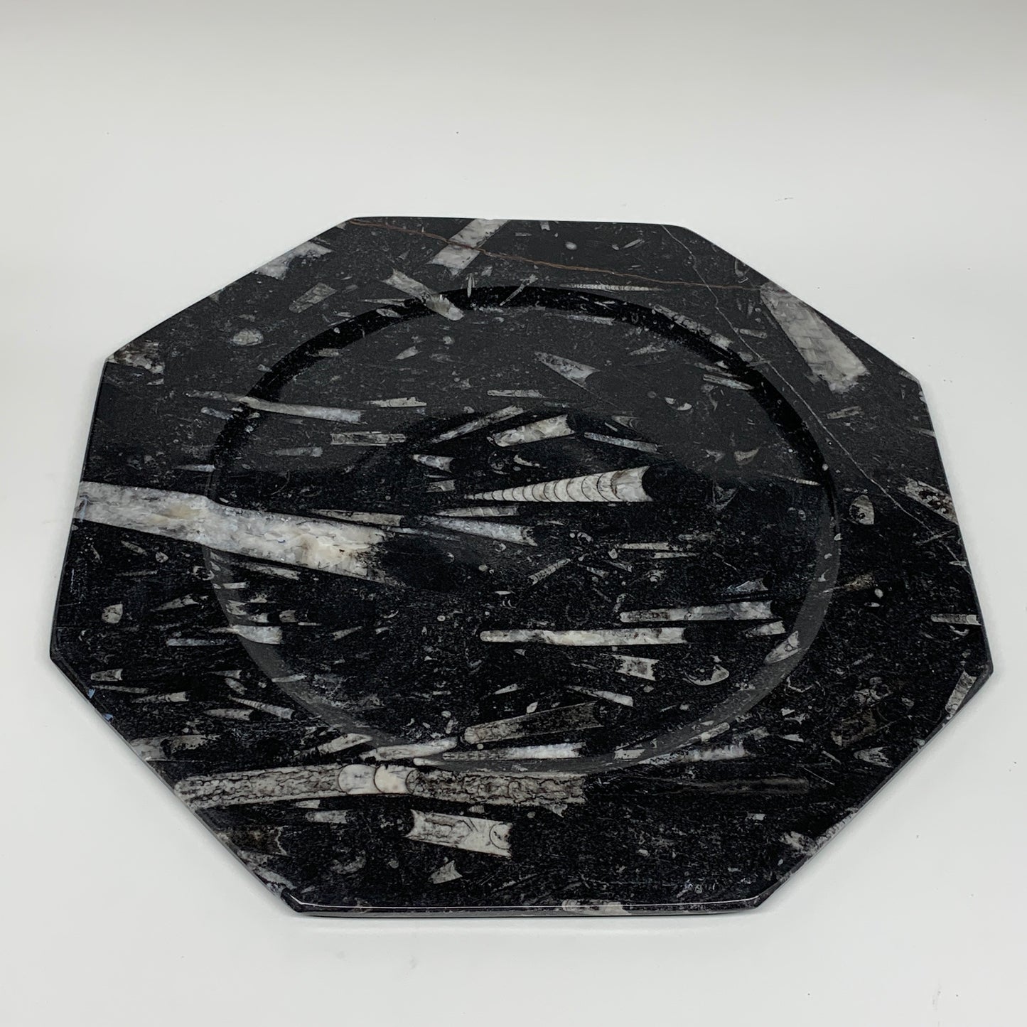 2pcs, 12" Large Octagon Shape Black Fossils Orthoceras Plates @Morocco, B8299