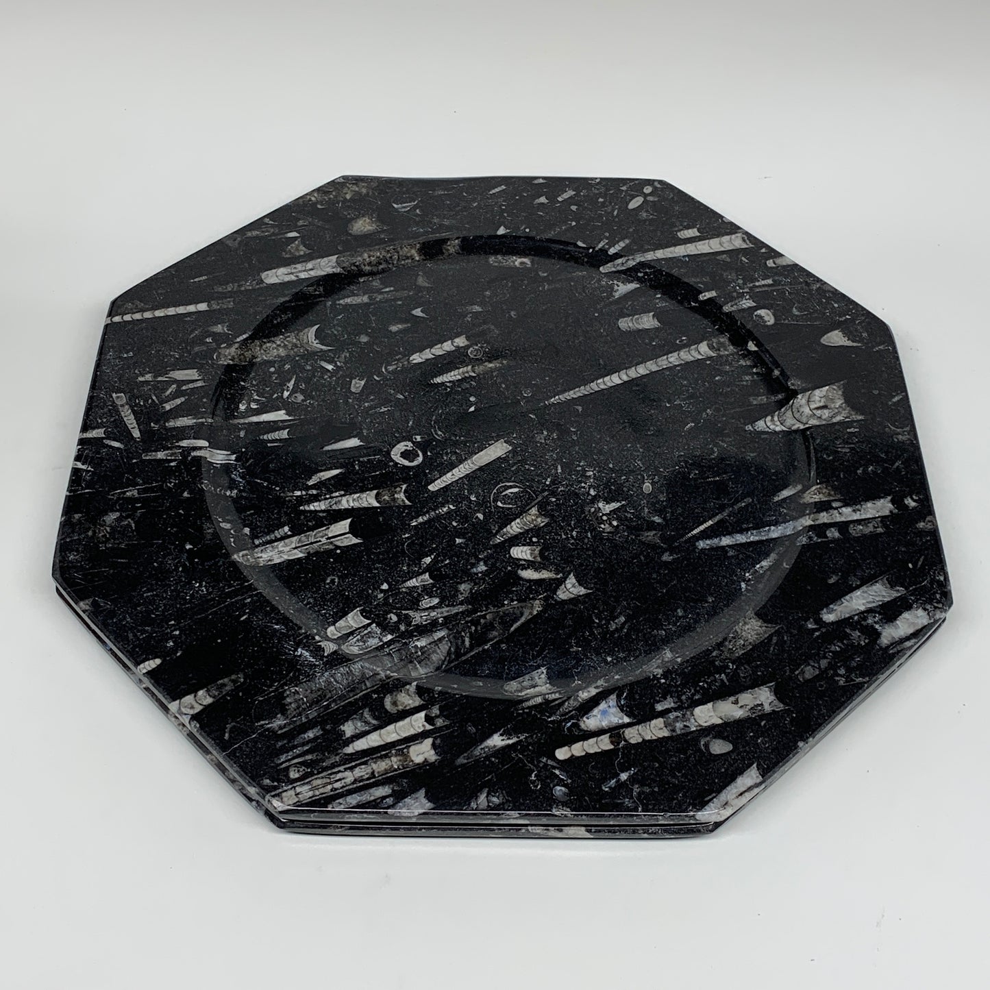 2pcs, 12" Large Octagon Shape Black Fossils Orthoceras Plates @Morocco, B8299