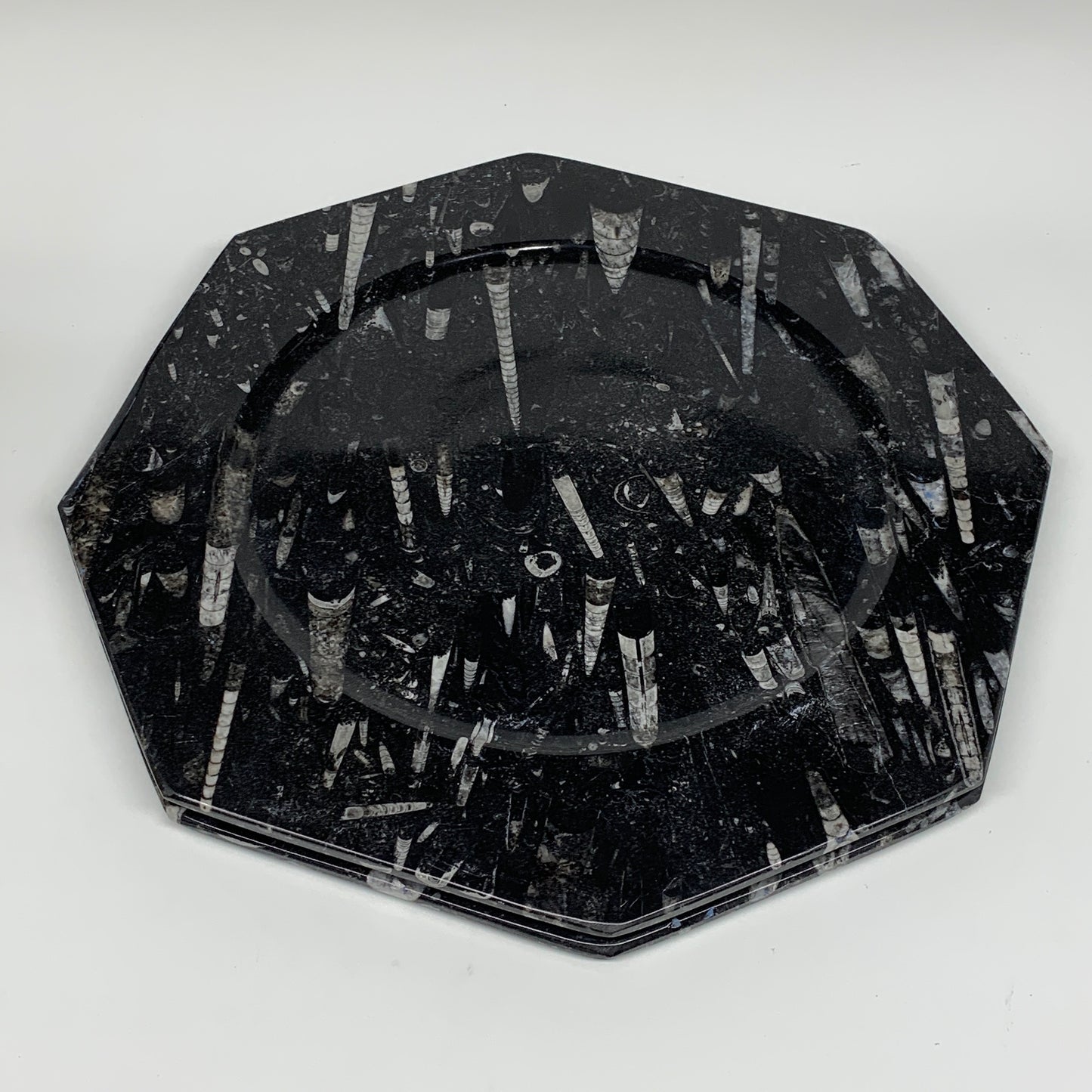 2pcs, 12" Large Octagon Shape Black Fossils Orthoceras Plates @Morocco, B8299