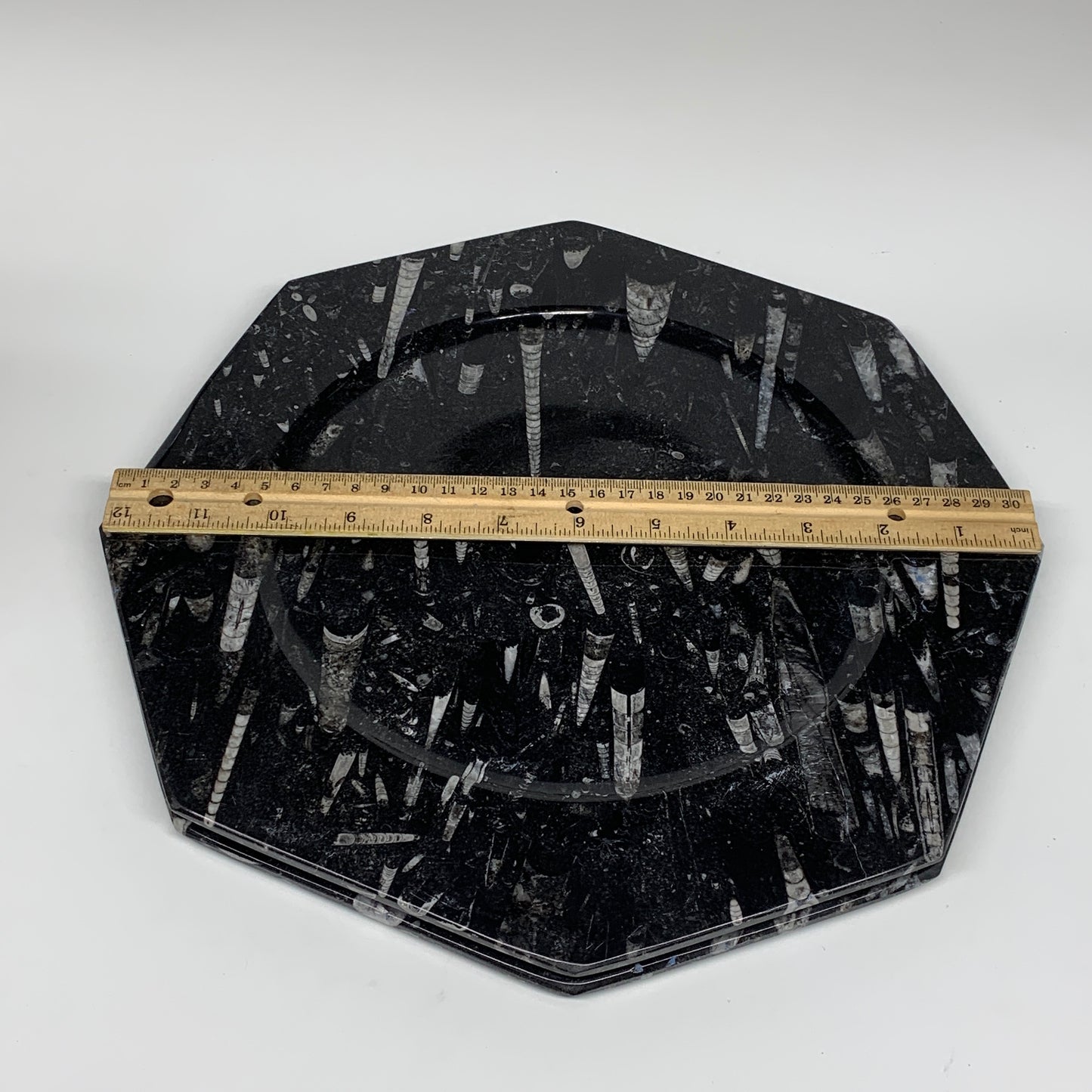 2pcs, 12" Large Octagon Shape Black Fossils Orthoceras Plates @Morocco, B8299