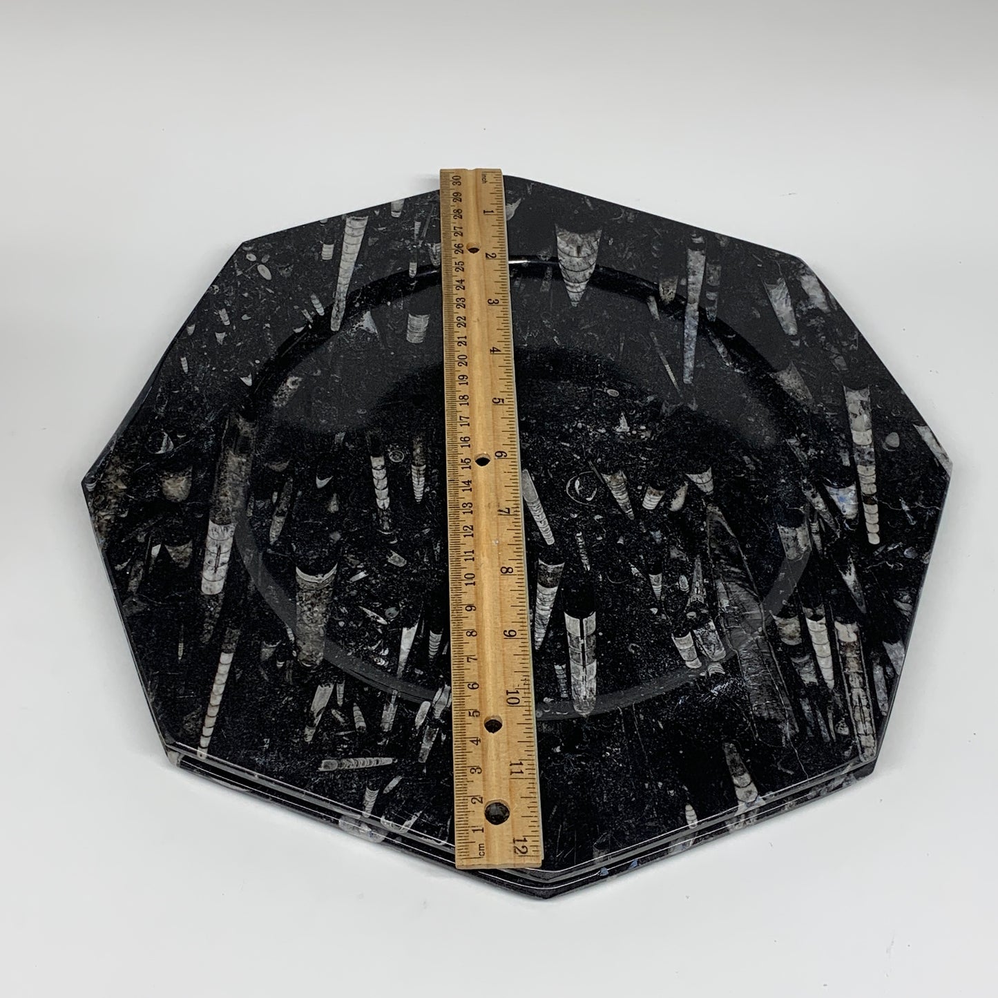 2pcs, 12" Large Octagon Shape Black Fossils Orthoceras Plates @Morocco, B8299