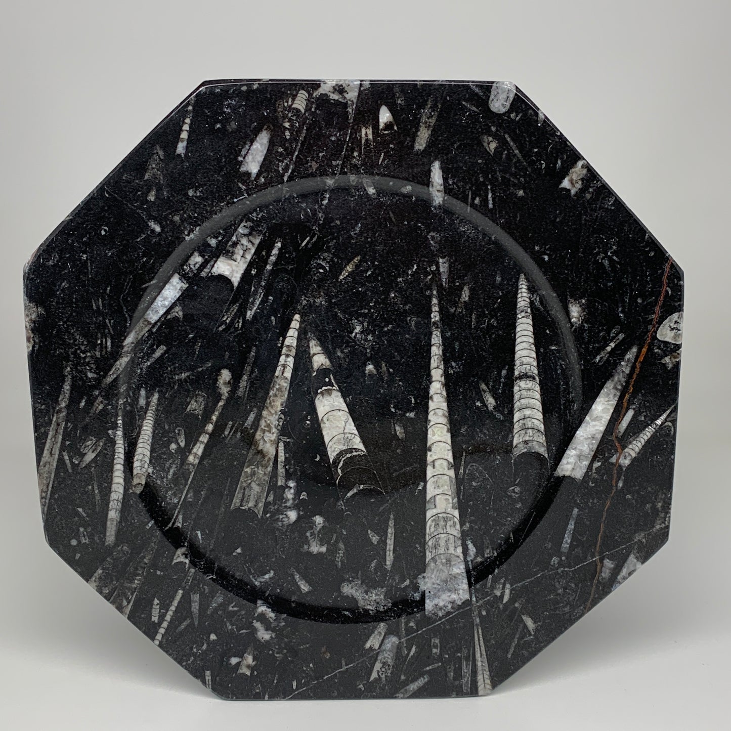 2pcs, 12" Large Octagon Shape Black Fossils Orthoceras Plates @Morocco, B8300