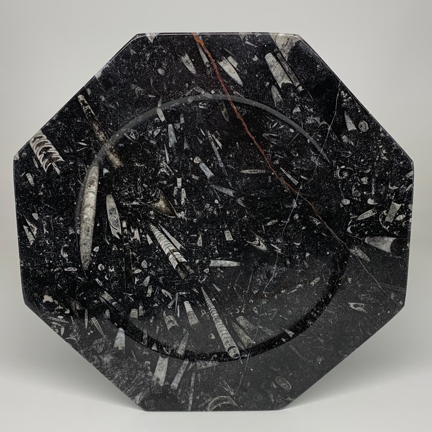 2pcs, 12" Large Octagon Shape Black Fossils Orthoceras Plates @Morocco, B8300