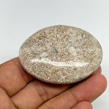 50.6g,2.2"x1.7"x0.7", Small Dinosaur Bones Palm-Stone from Morocco, B20465
