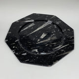 2pcs, 12" Large Octagon Shape Black Fossils Orthoceras Plates @Morocco, B8300