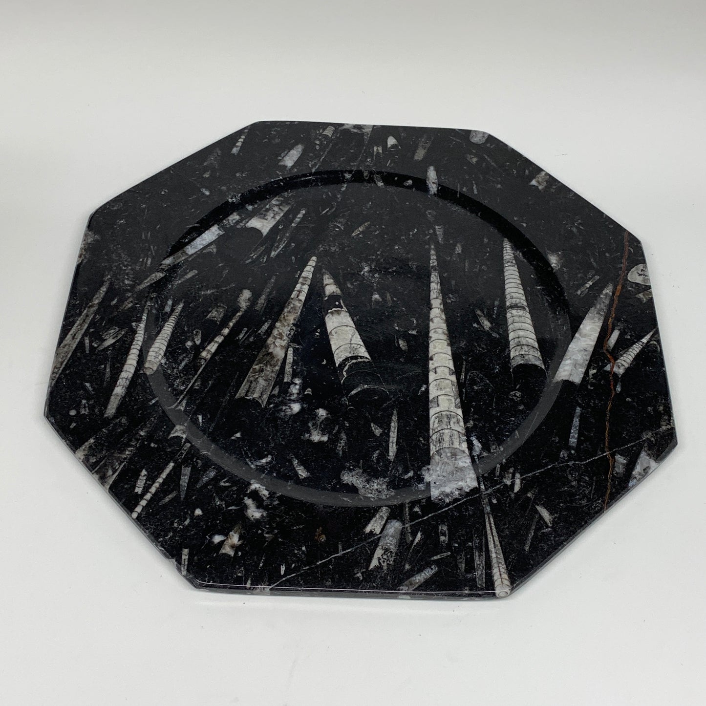 2pcs, 12" Large Octagon Shape Black Fossils Orthoceras Plates @Morocco, B8300