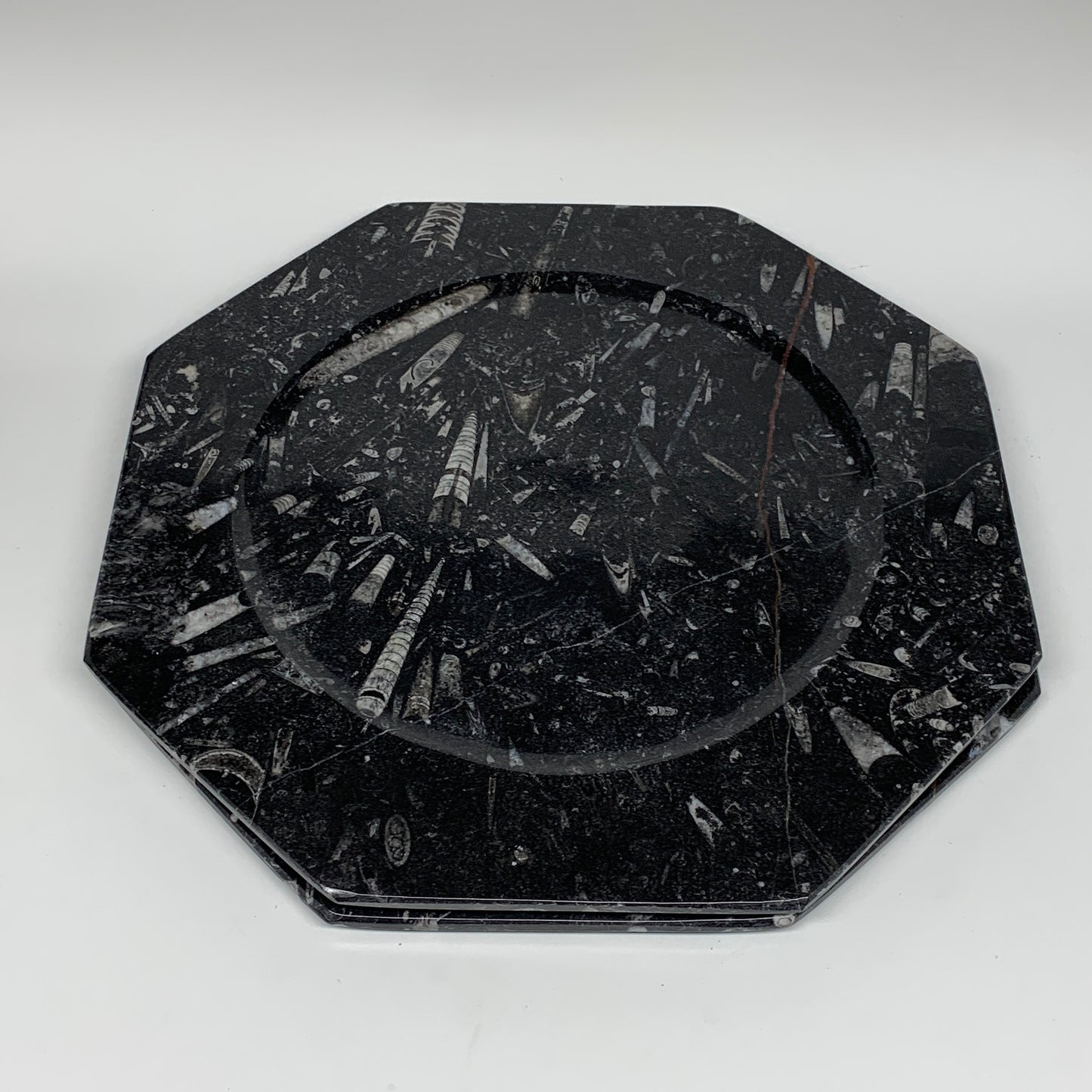 2pcs, 12" Large Octagon Shape Black Fossils Orthoceras Plates @Morocco, B8300