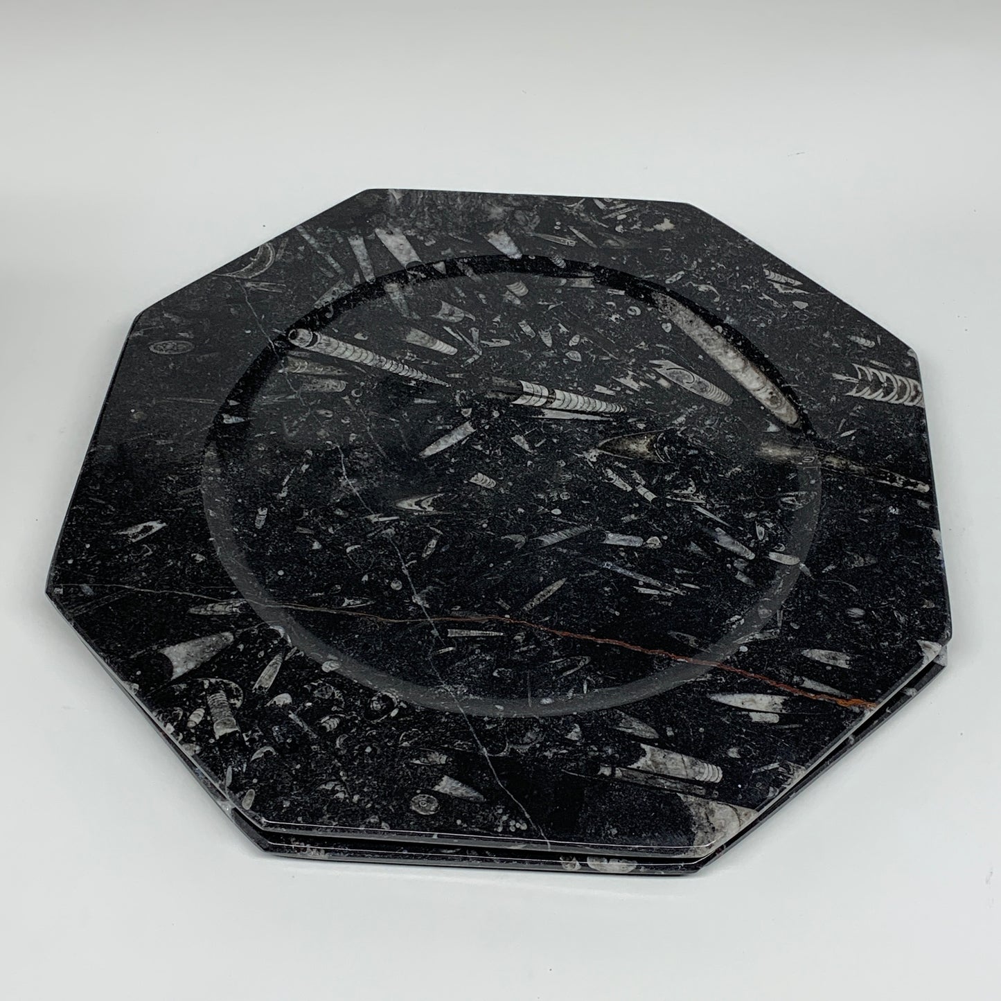 2pcs, 12" Large Octagon Shape Black Fossils Orthoceras Plates @Morocco, B8300