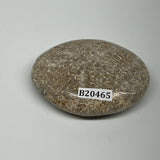 50.6g,2.2"x1.7"x0.7", Small Dinosaur Bones Palm-Stone from Morocco, B20465