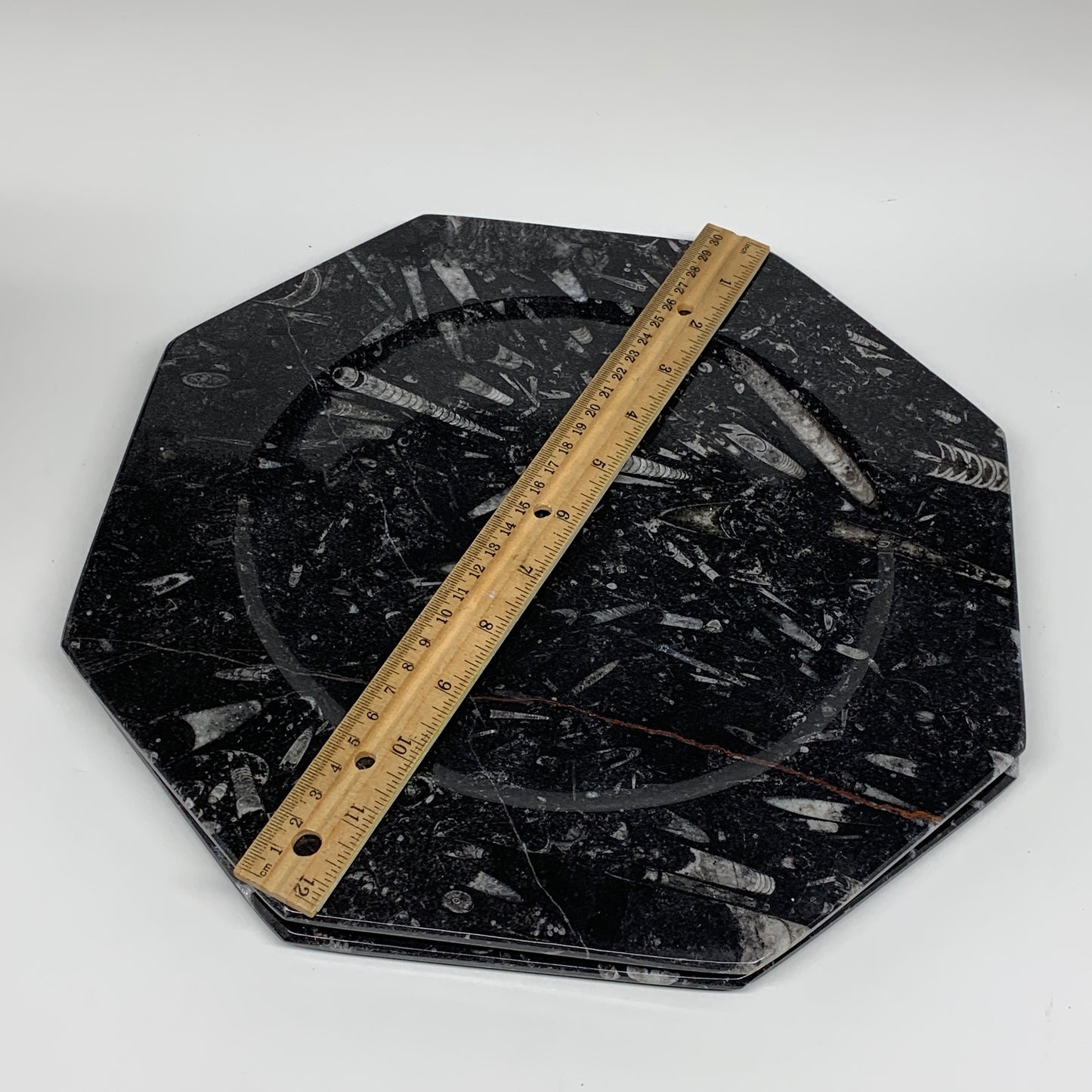 2pcs, 12" Large Octagon Shape Black Fossils Orthoceras Plates @Morocco, B8300