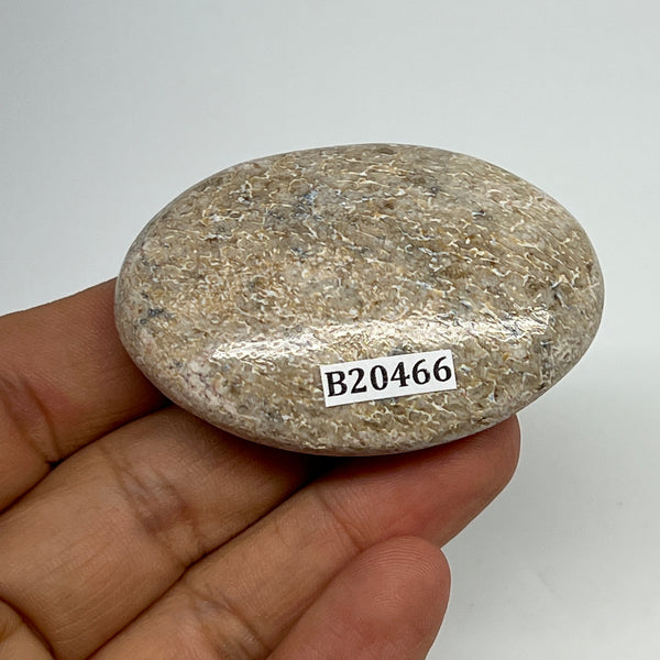 48.7g,2.2"x1.5"x0.7", Small Dinosaur Bones Palm-Stone from Morocco, B20466